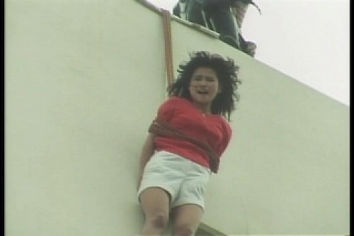 PDVD_029.jpg
