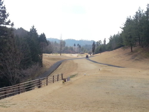 20140305_125045.jpg