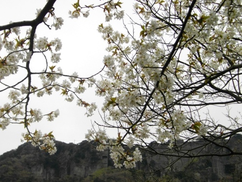 鋸山登山道.JPG