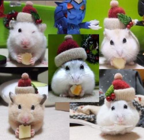 クリスマス.jpg