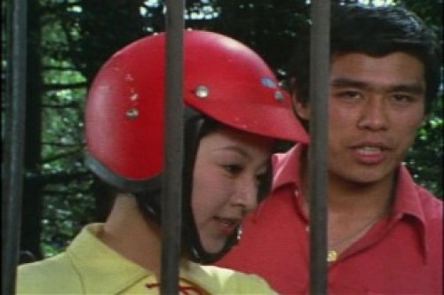 PDVD_022.jpg