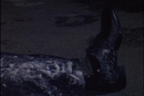 PDVD_003.jpg