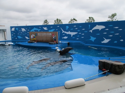 仙台うみの杜水族館