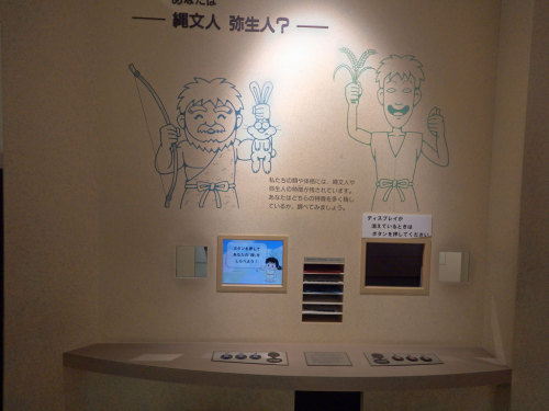 IMGP3370.jpg