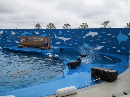 仙台うみの杜水族館