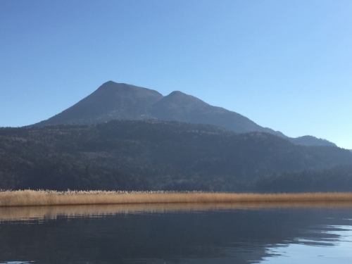 IMG_8228 (640x480).jpg