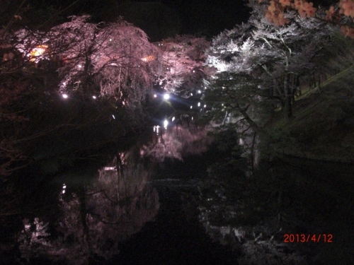 CIMG6762 (640x480).jpg