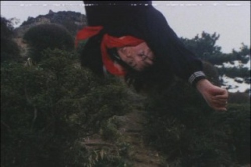 PDVD_028.jpg