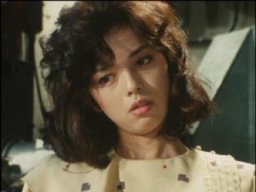 PDVD_009.jpg