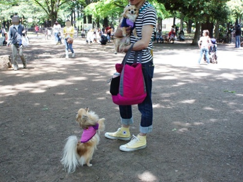 yomotsuku20120513-14.JPG