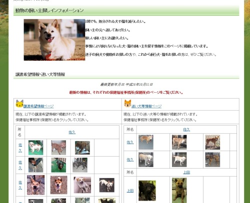 動物の飼い主探しインフォメーション.jpg