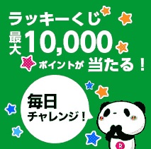 rakuten 10000 points