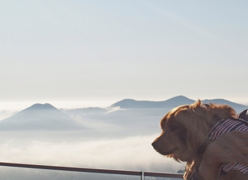こたろうと雲海.jpg