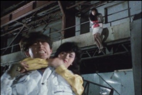 PDVD_023.jpg