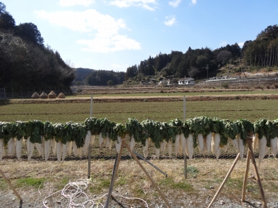 DSC00238.jpg