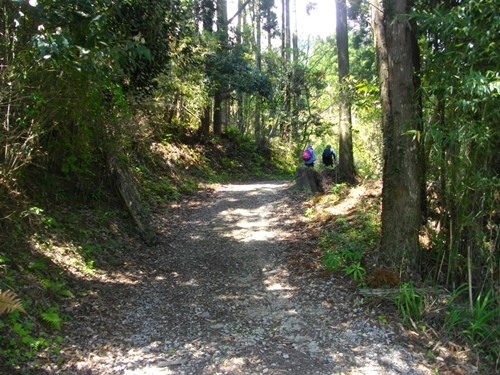 伊予ヶ岳登山道 (1).JPG