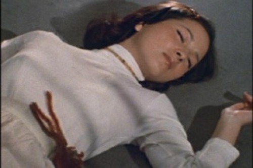 PDVD_026.jpg
