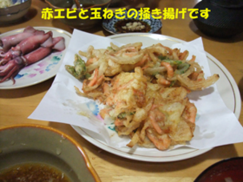 赤エビと玉ねぎの掻き揚げです.jpg