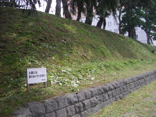前橋城土塁(5) (500x375).jpg