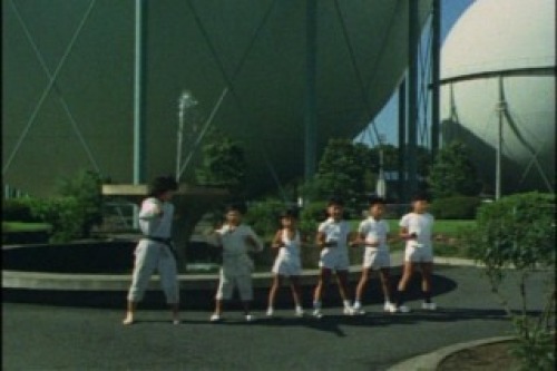 PDVD_005.jpg