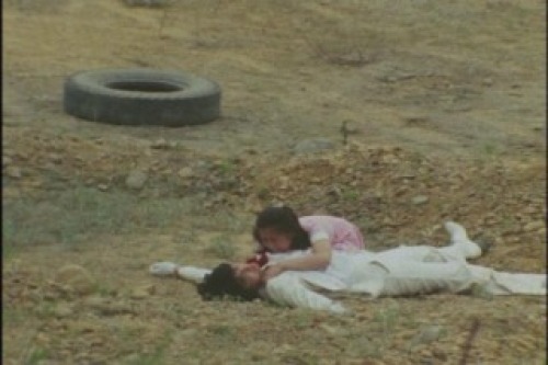 PDVD_037.jpg