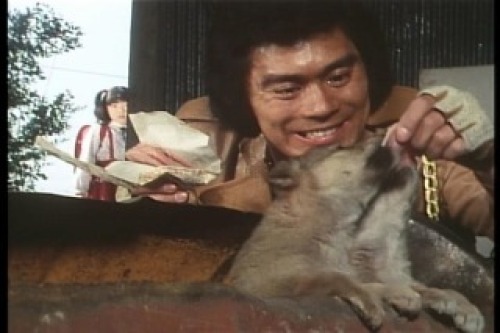 PDVD_003.jpg