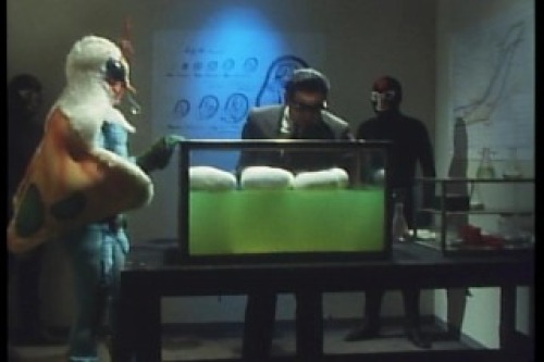 PDVD_015.jpg