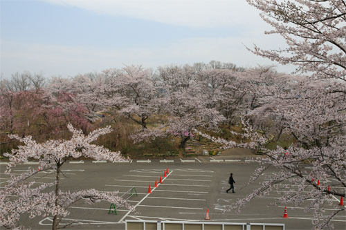 船岡7.jpg