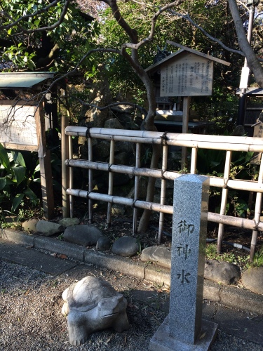 IMG_8209 - コピー.JPG