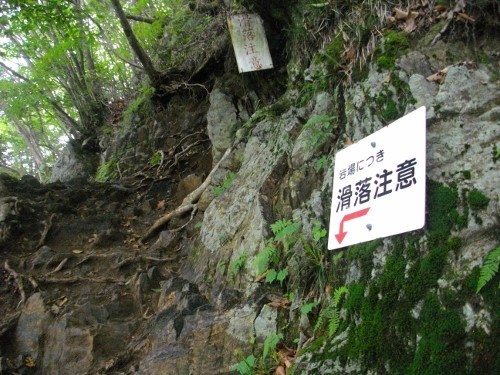 大岳山登山道 (2) (500x375).jpg