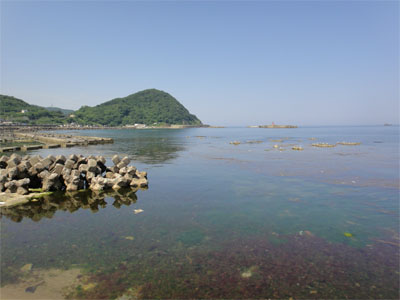 由良6.jpg