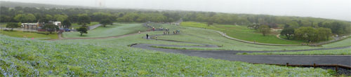 ひたち海浜公園3.jpg