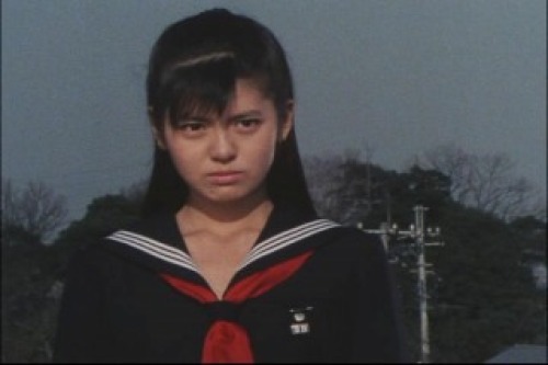PDVD_003.jpg