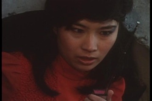 PDVD_004.jpg