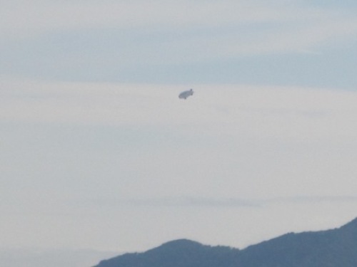 2014・8・17 (7).JPG