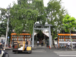 築地25.jpg