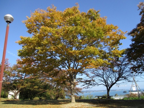 七ヶ浜多聞山