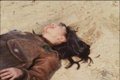 PDVD_220.jpg