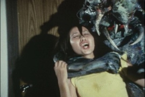 PDVD_010.jpg