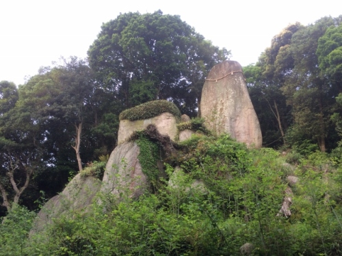 IMG_0051 (640x480).jpg