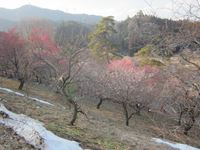 IMG_2174_R.JPG