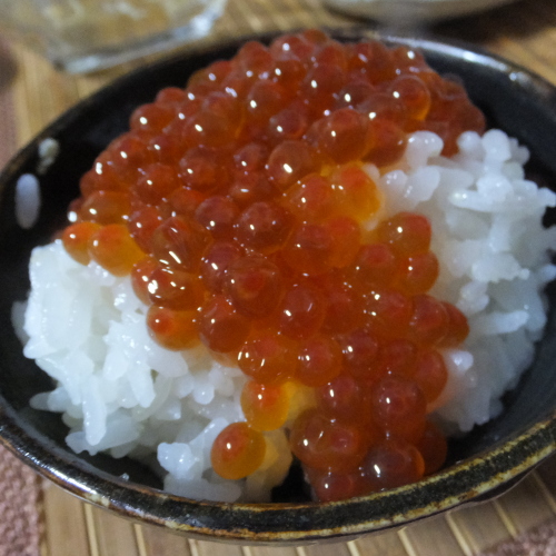 DSCF7324.JPG