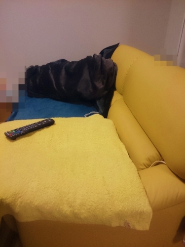 sofa.JPG