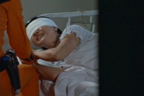 PDVD_013.jpg