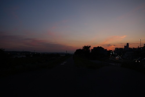 P1160077 のコピー.JPG