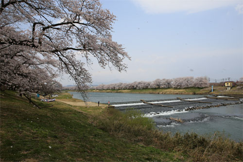 白石川9.jpg