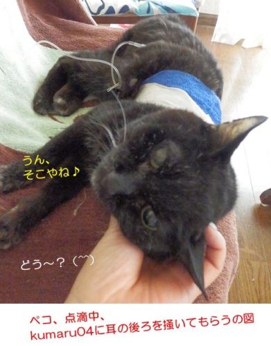 20150821_3.jpg