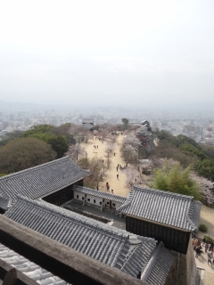 DSC00782.jpg