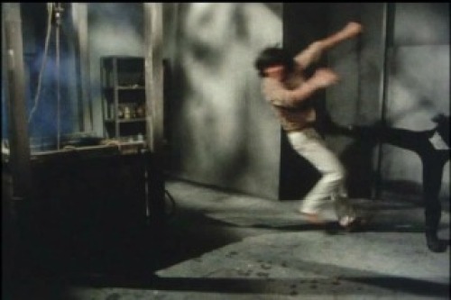 PDVD_131.jpg