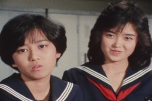 PDVD_014.jpg